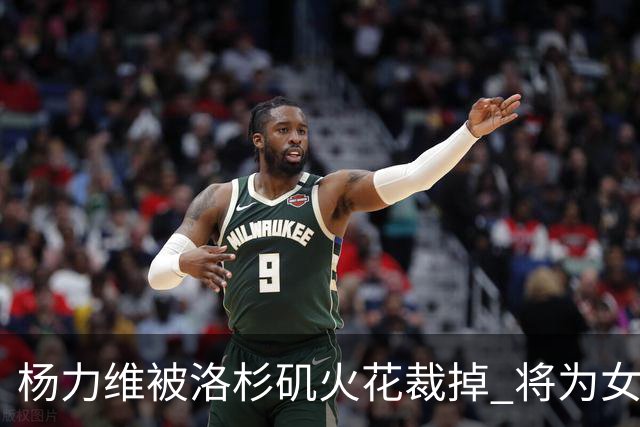 杨力维被洛杉矶火花裁掉 将为女篮争奥运门票